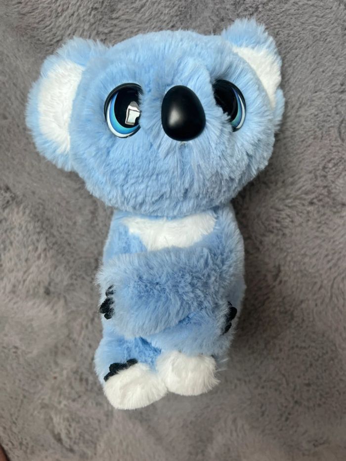 Koko câlin peluche, koala, interactive