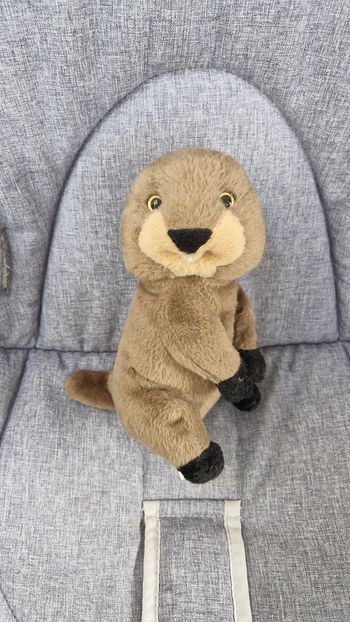 Petite peluche marmotte 