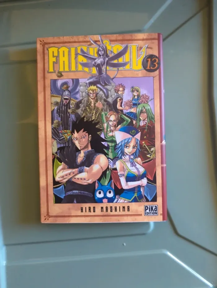 Fairy tail 13