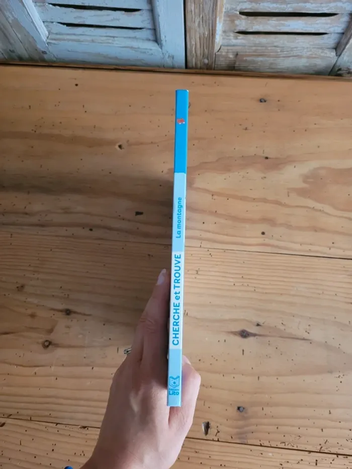 Mon tout premier cherche et trouve la montage - photo numéro 9