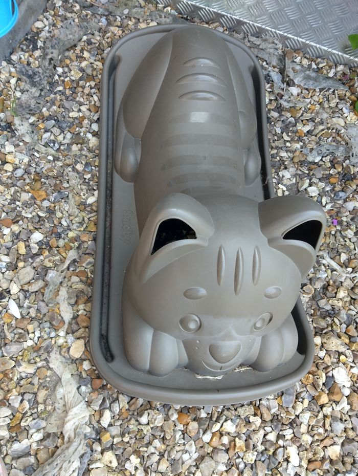 Chat bascule - photo numéro 2