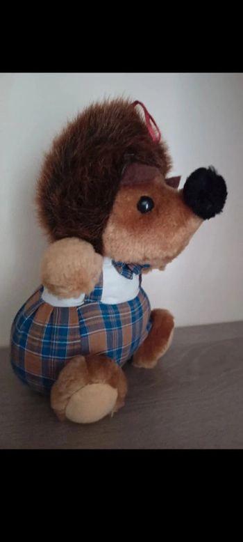 Hérisson en salopette Neuf Idée cadeau 🎁