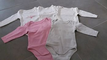 Lot bodies