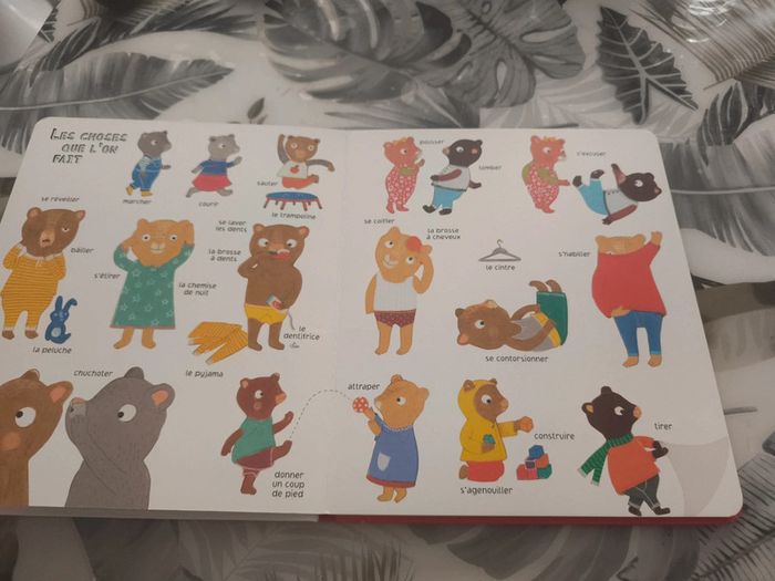 Album le livre des choses - photo numéro 4