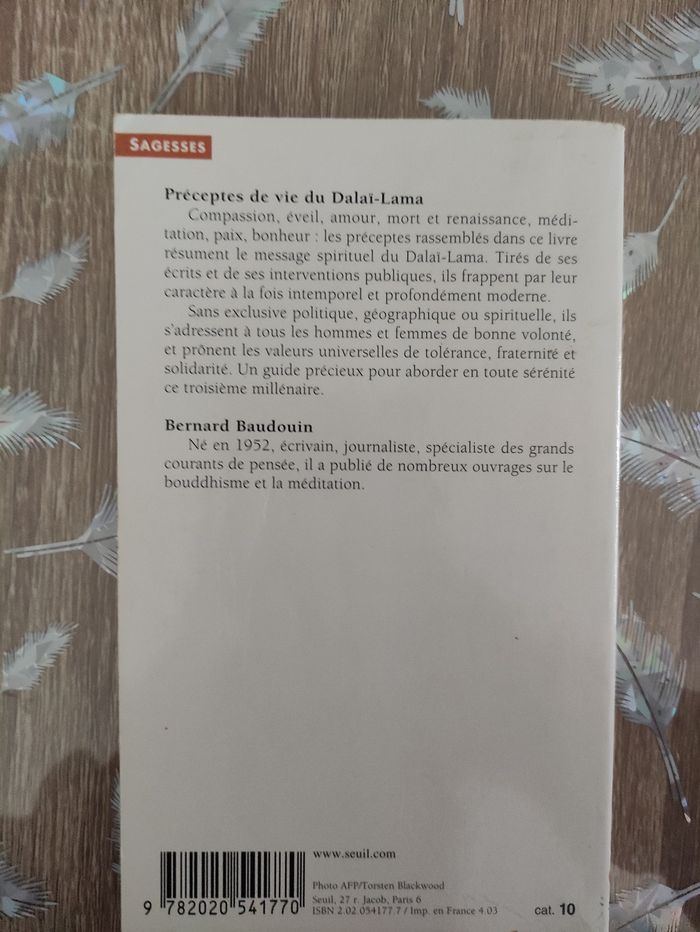 Préceptes de vie du Dalaï-lama - photo numéro 2