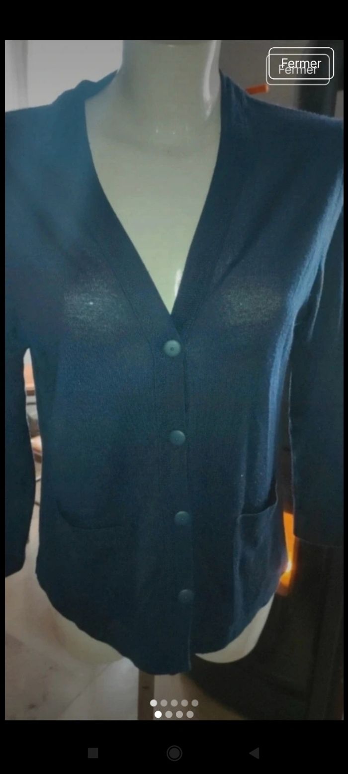 Très beau gilet femme f2