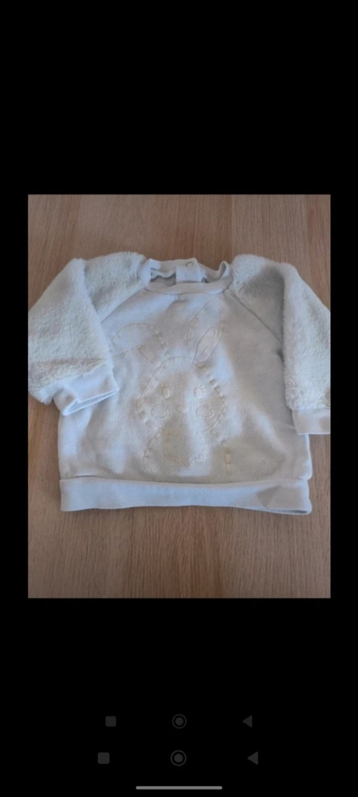 Sweat grain de blé 3 mois