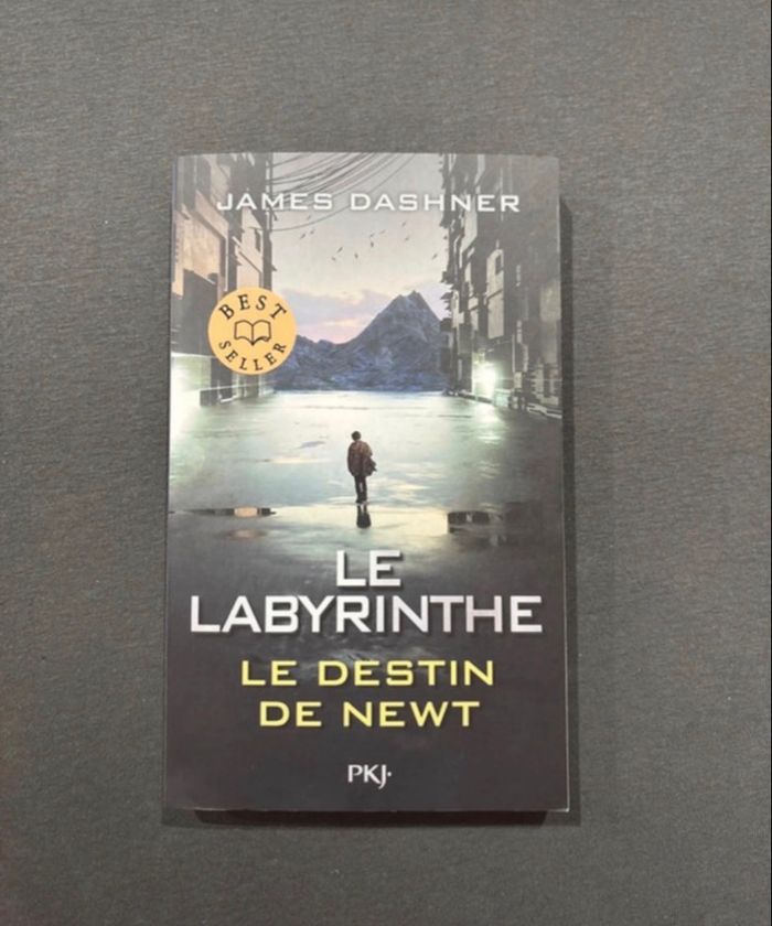 Livres  Le  Labyrinthe - photo numéro 8