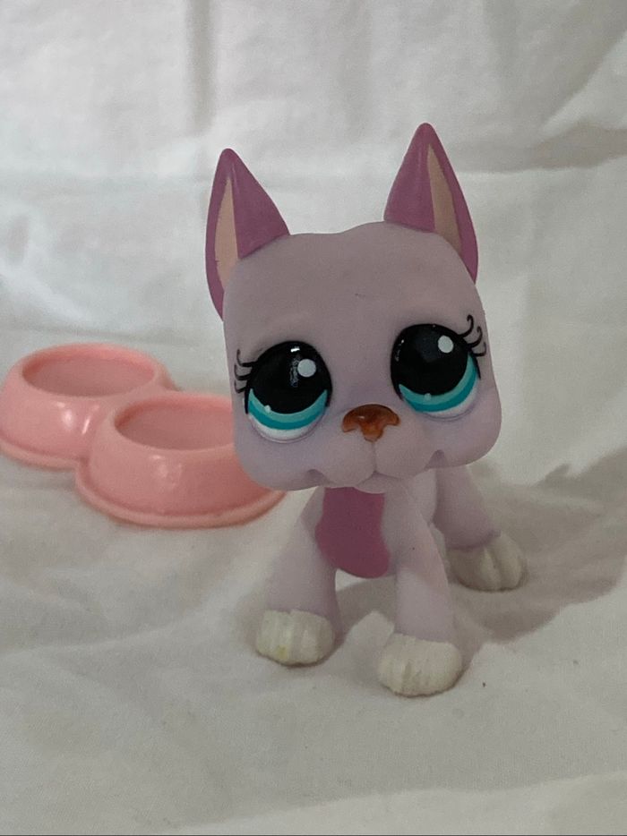 lps danois - photo numéro 6