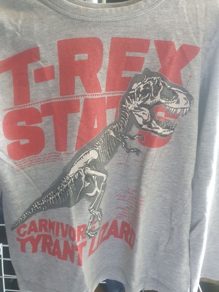 T-shirt manche longue 2/4ans - photo numéro 2