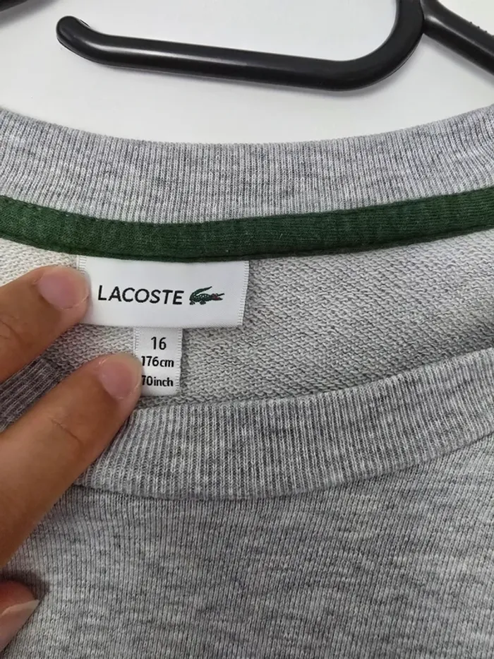 Sweat lacoste - photo numéro 3