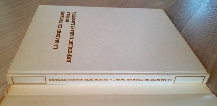 la marche de l'homme dans la république arabe lybienne - photo numéro 5