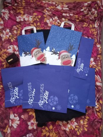 Lot pochettes, sacs papier Noël