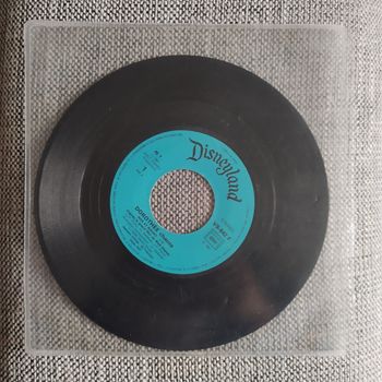 Vinyle enfant : Dorothée - Rox et Rouky 