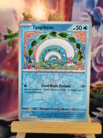 Taupikeau reverse 51/182 faille paradoxe