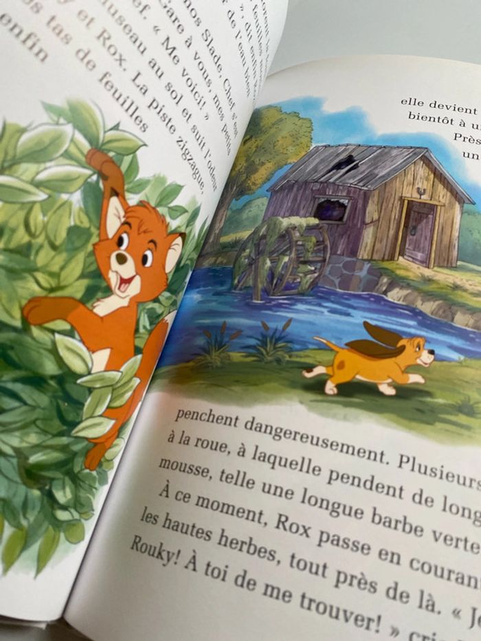 Lot de deux livres Disney, mon album, 2005 et 2006 - photo numéro 8