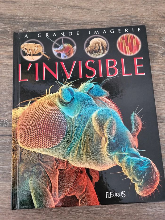 La Grande Imagerie- L'invisible