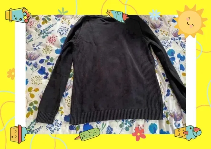 Pull ras de cou col v noir Celio L - photo numéro 5