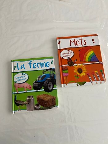 Lot de 2 livres d'éveil "Regarde et apprends !"