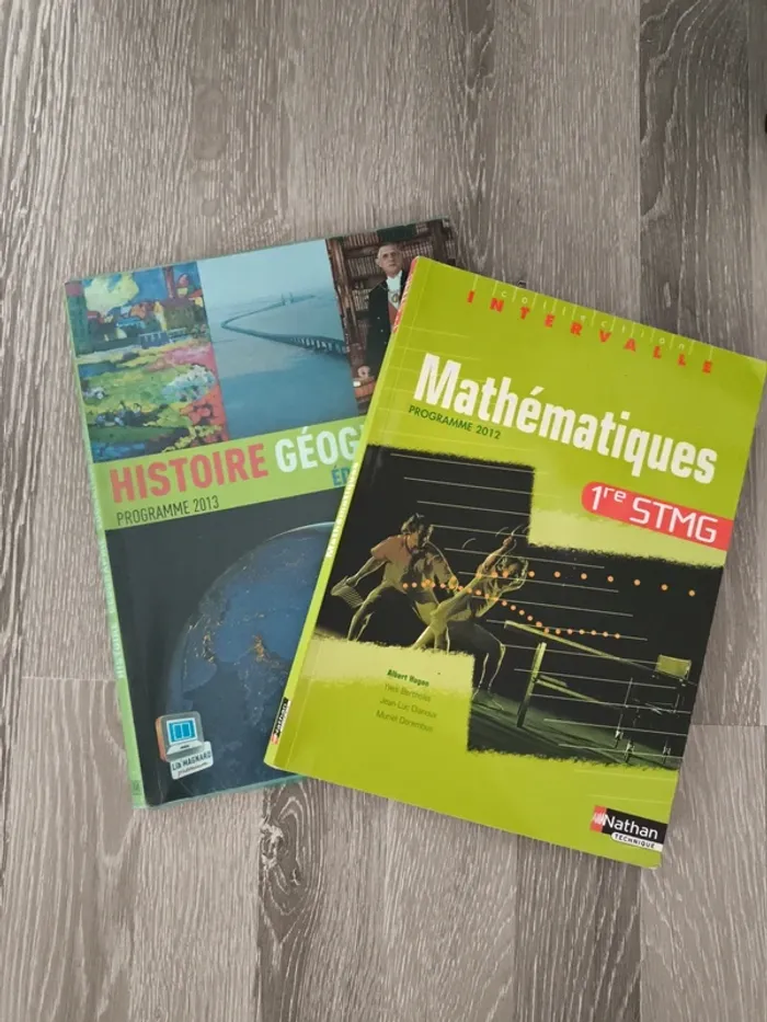 Lot de 2 livres scolaires STMG