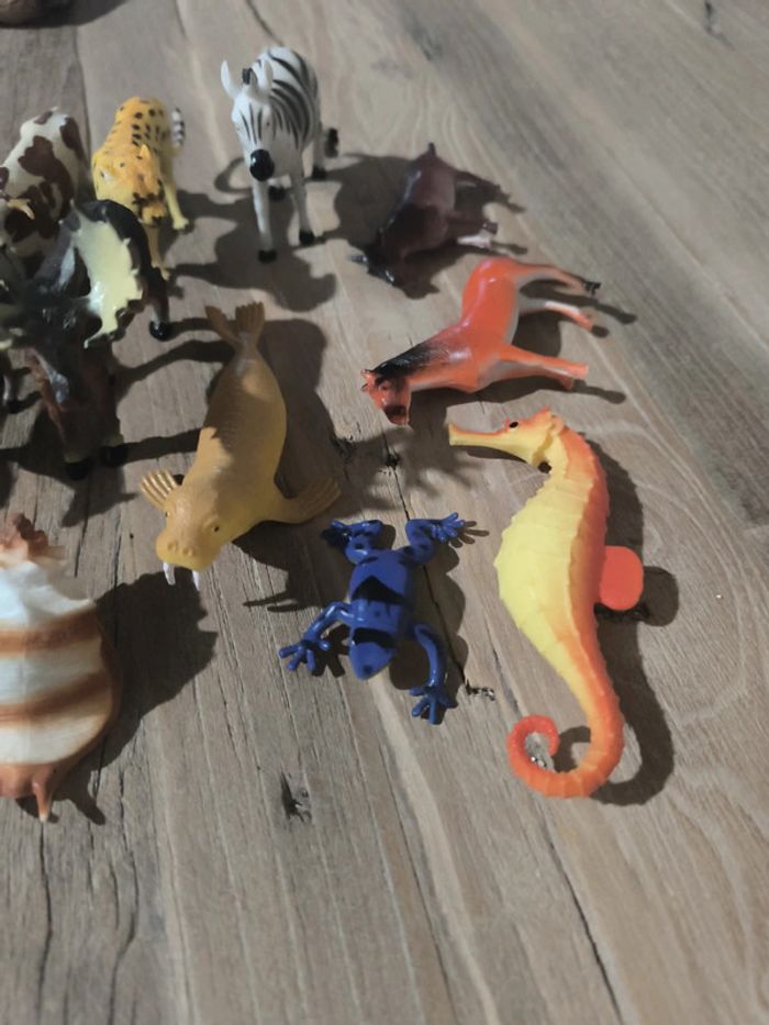 Animaux - photo numéro 3