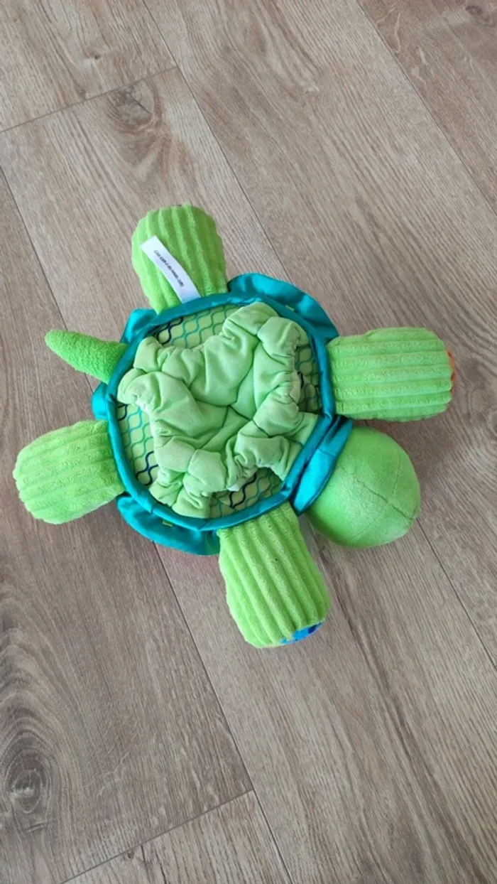 Cache-cache tortue - photo numéro 2