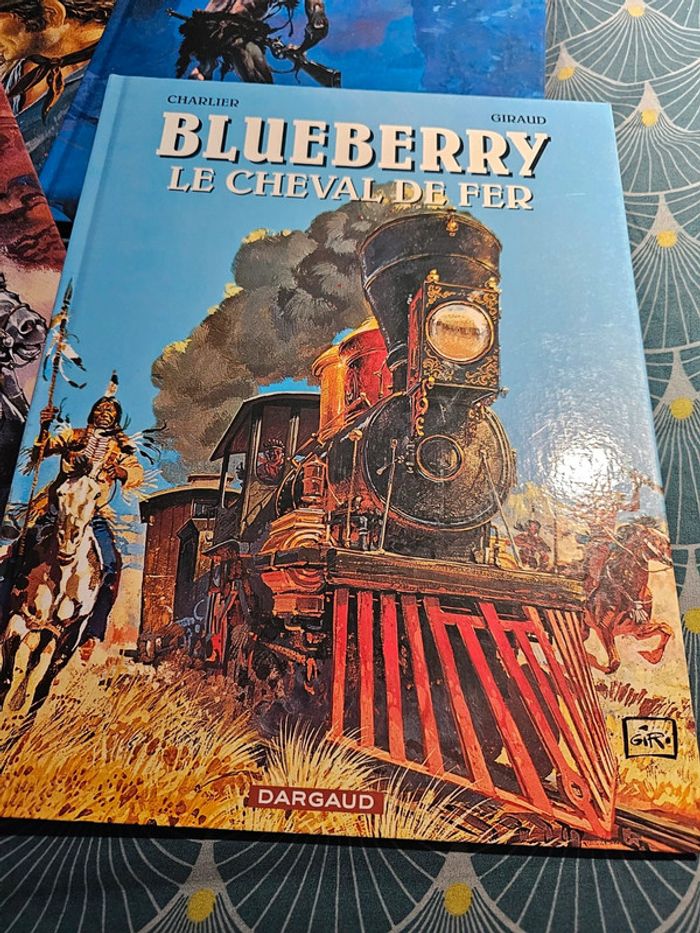 4 BD blueberry - photo numéro 3