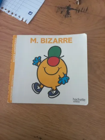 Livre monsieur madame mr Bizarre Mme