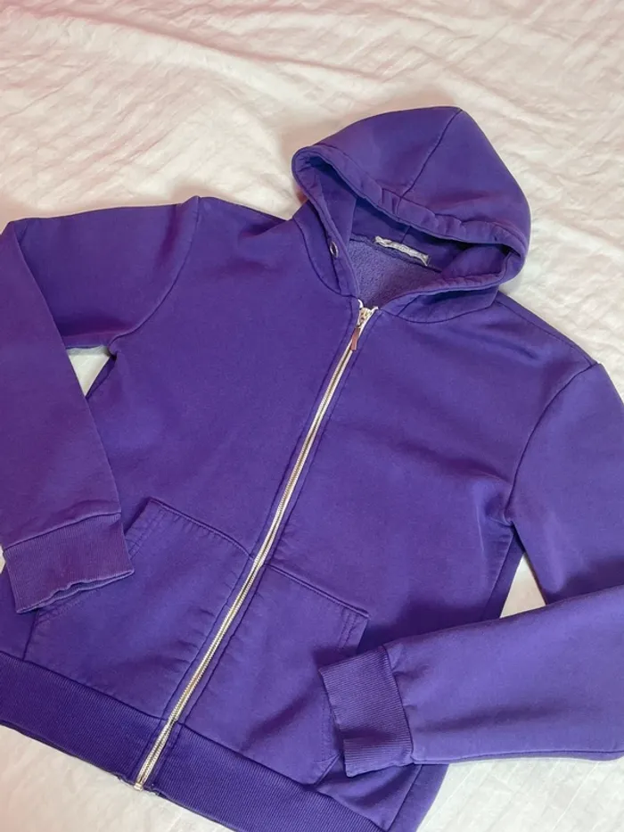 Sweat zip à capuche y2k - photo numéro 2