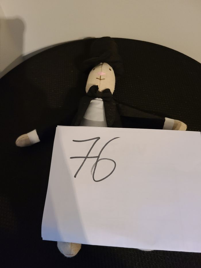 Doudou costume - photo numéro 2