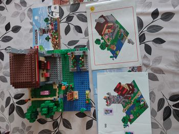 lego minecraft 21161