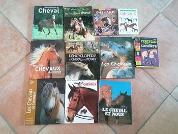Livres sur les chevaux