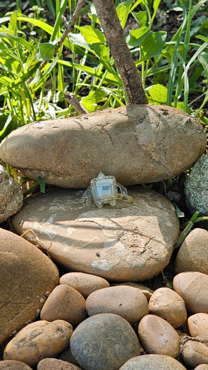 Super petite figurine Pokemon Nintendo Motisma - photo numéro 3