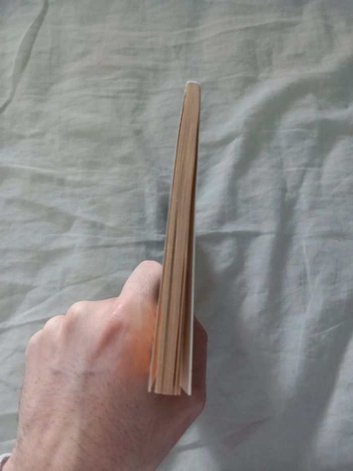 Le rêveur - photo numéro 4