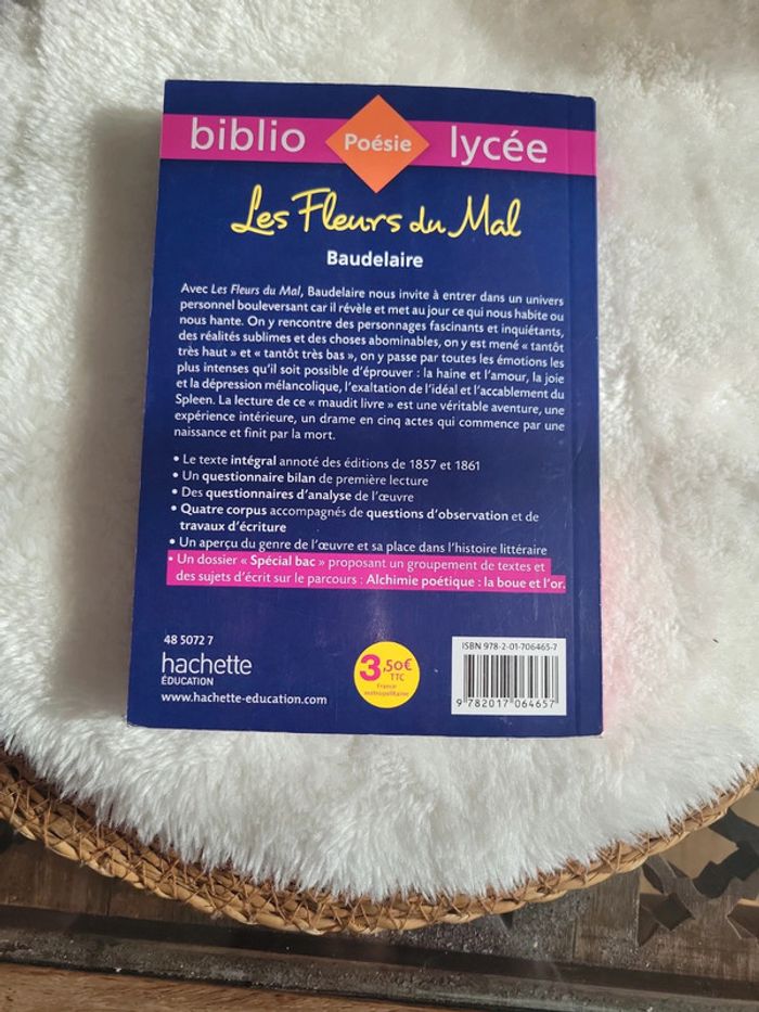 Les fleurs 🌸 du mal. Baudelaire - photo numéro 3