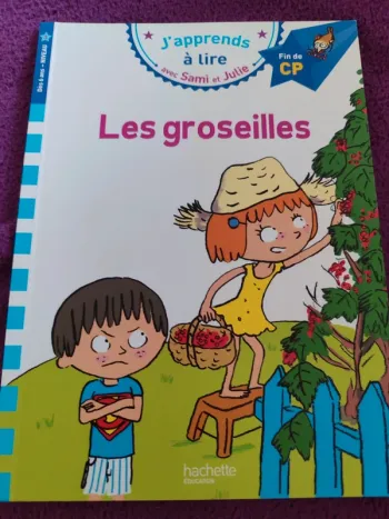 Livre CP : les groseilles