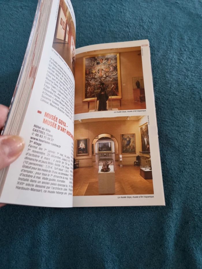 Petit Futé Les 100 Plus Beaux Musées De France - photo numéro 5