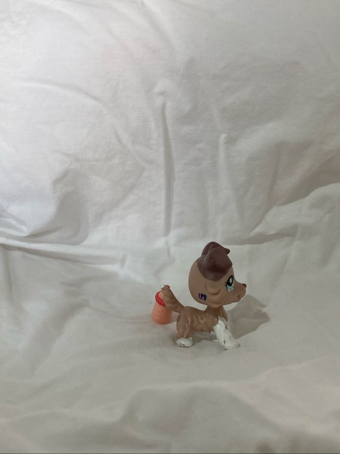 lps colley - photo numéro 4