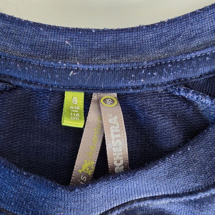 Stéatose léger - Orchestra - 6 ans - photo numéro 3