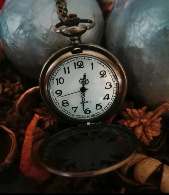 F99 Montre à gousset rétro vintage originale bronze - photo numéro 3