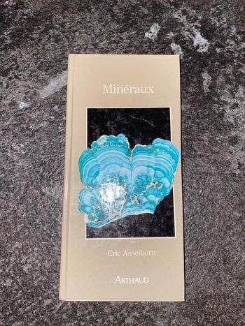 Livre vintage sur les minéraux