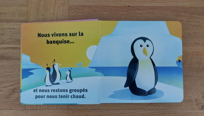 Brrr ! découvre les réponses cachées - photo numéro 2