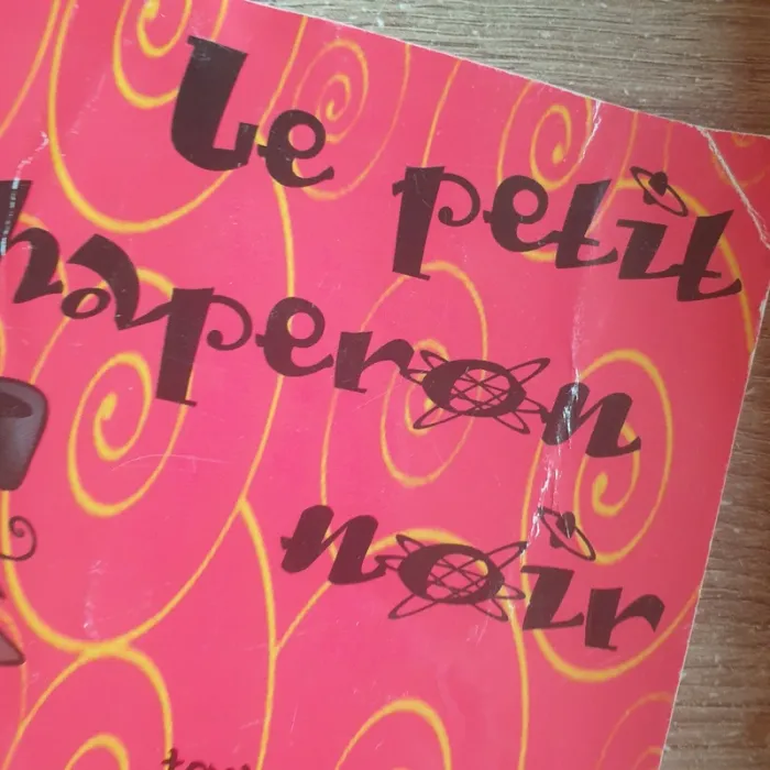⭐ Lot de 2 livres Le bizmémépépé & Le petit chaperon noir #emyfleury_livres - photo numéro 2