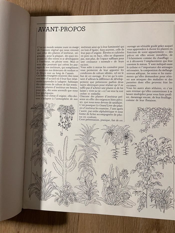 Le grand livre des plantes d'interieur - photo numéro 2