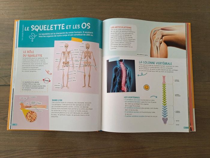 Le monde expliqué aux enfants 🌍 - photo numéro 5