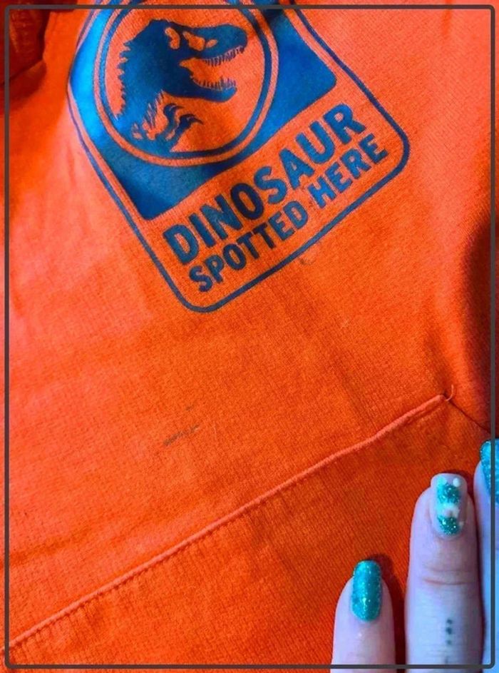 Pull  jurassic world 6ans - photo numéro 4