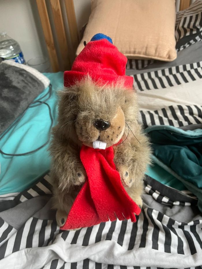 Marmotte doudou - photo numéro 2