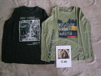 Lot de 2 tee-shirts 12 ans (n°2)
