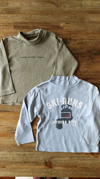 Lot deux tee shirts/ 18-24 mois