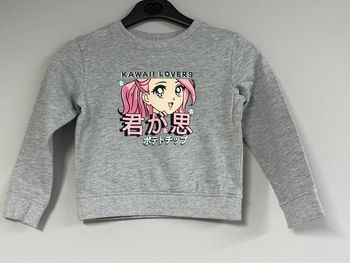 Pull 5 ans